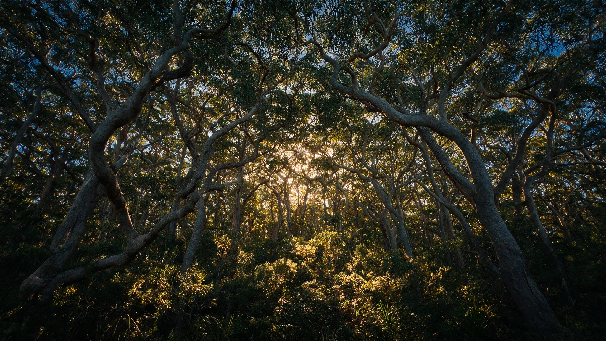 About Our Morisset Practice