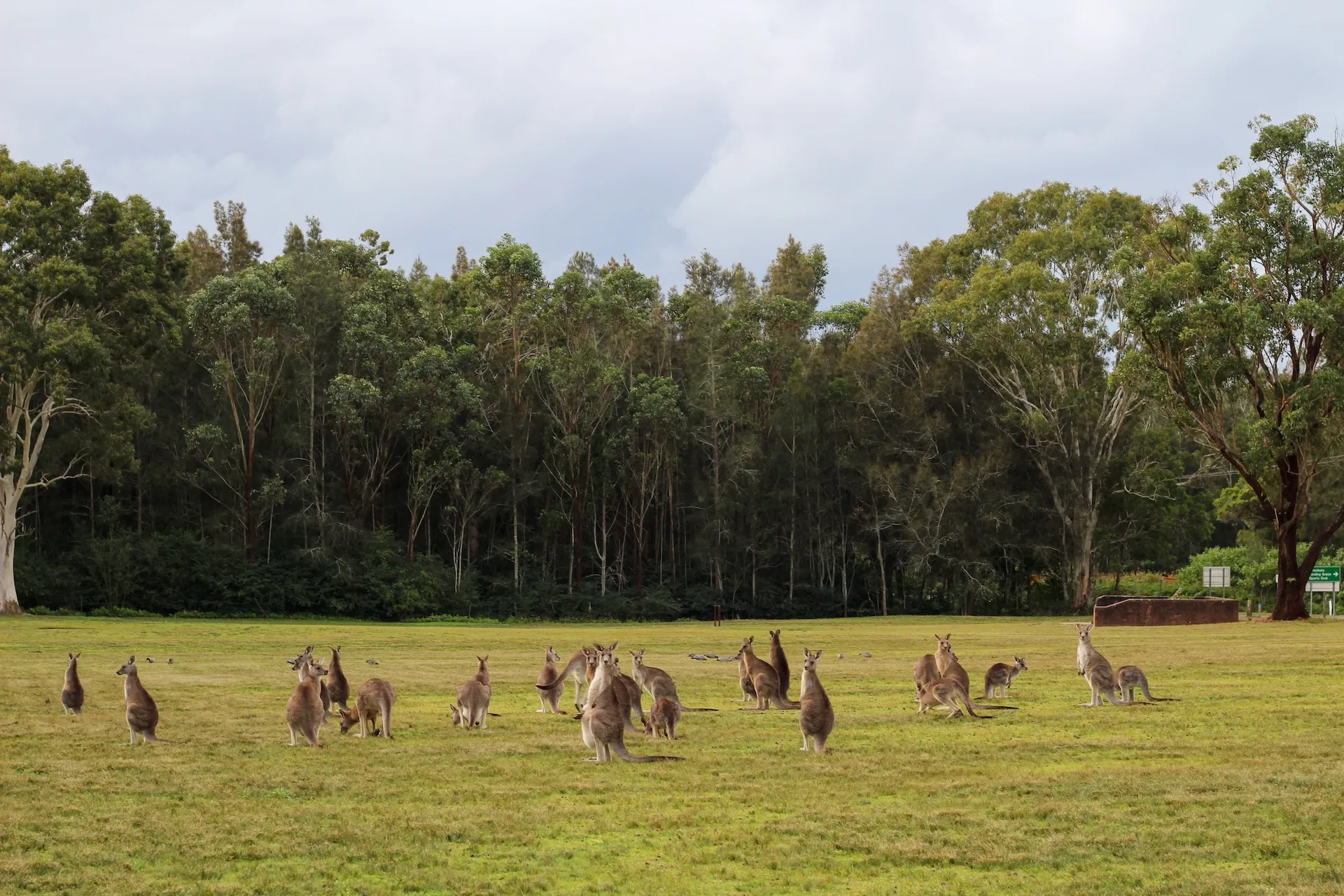 Accountant in Morisset