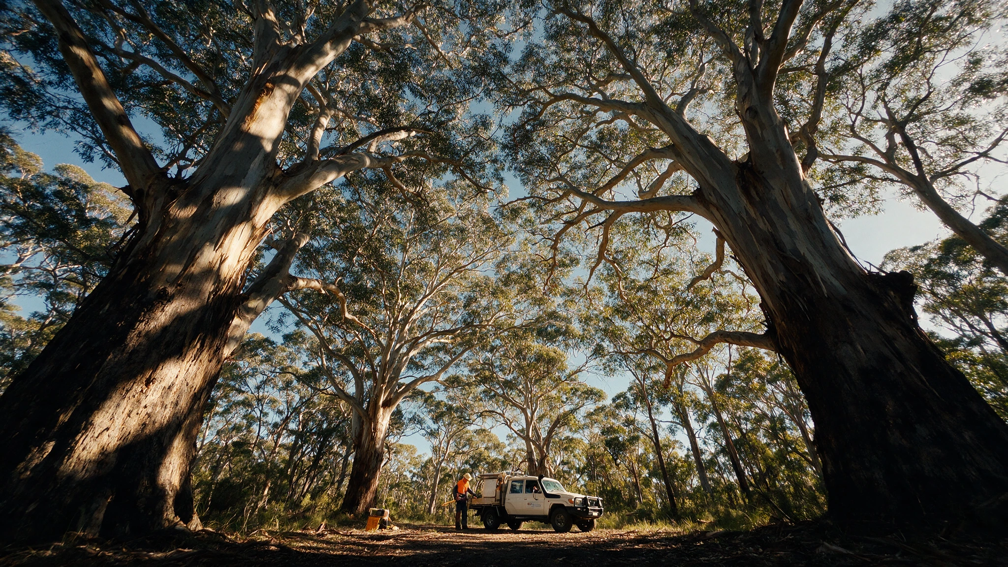 GR & Co Accounting & Advisory Pty Ltd — accountant in Lake Macquarie, Morisset office