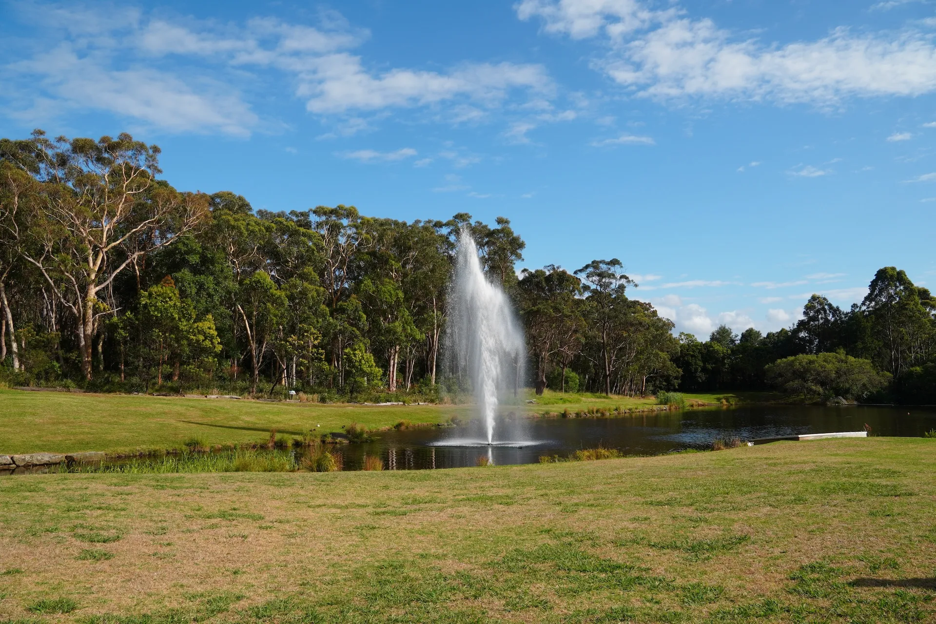 Company Accounting in Lake Macquarie