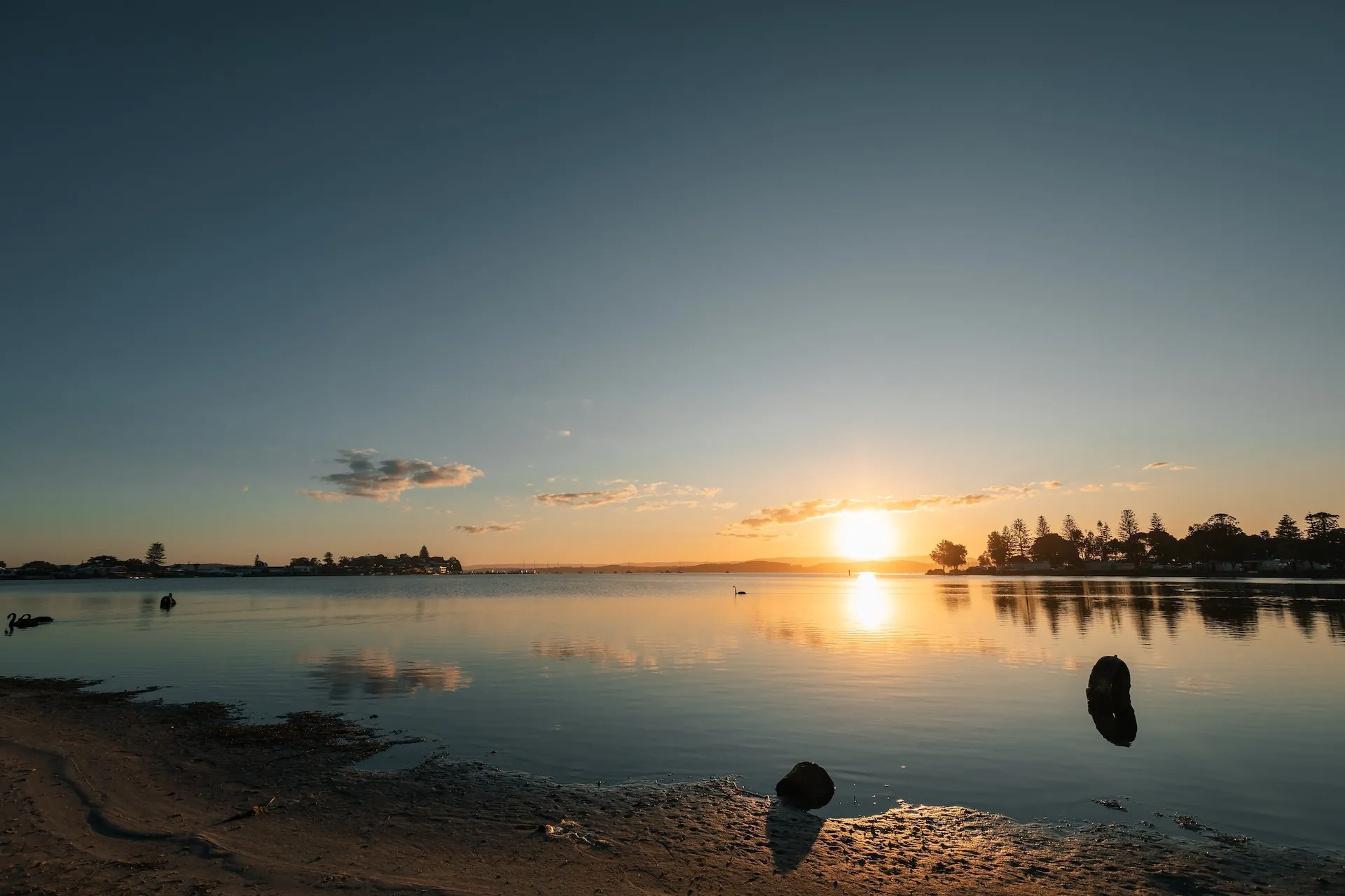 Trust Accounting in Lake Macquarie