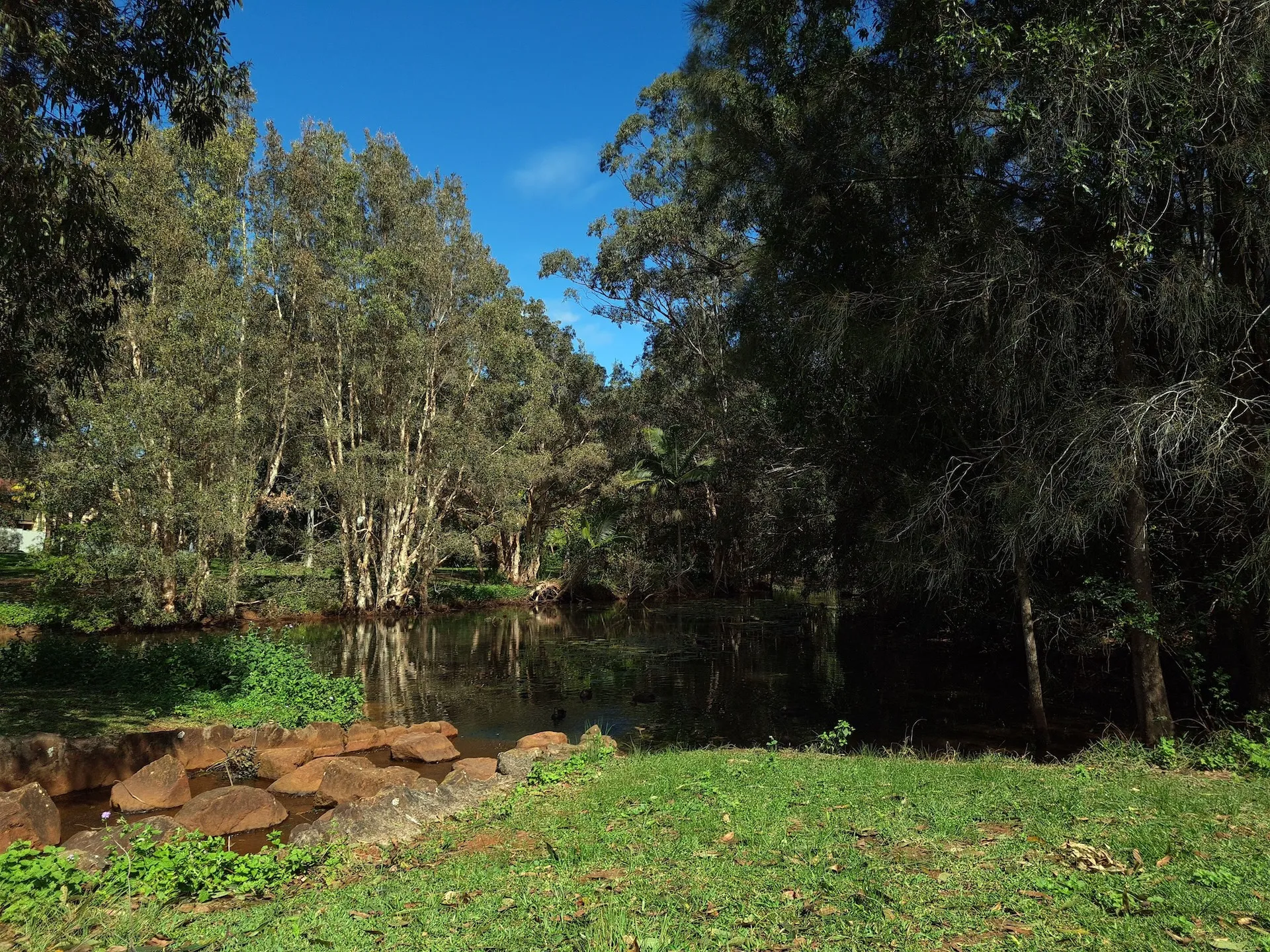 Sole Trader Accounting in Lake Macquarie